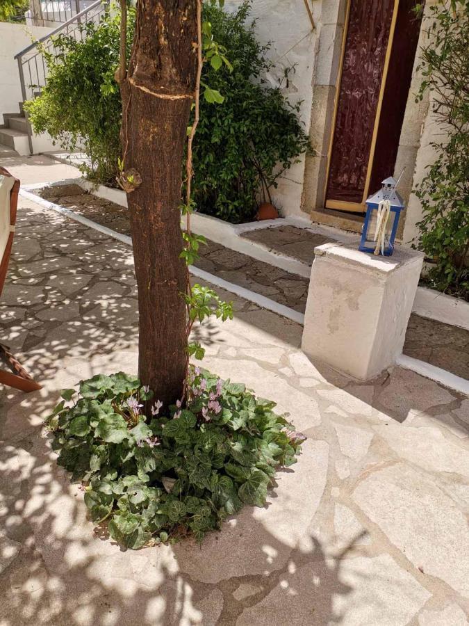 Holiday home Giannas House Symi